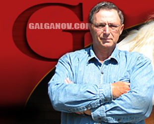 galganov.com
